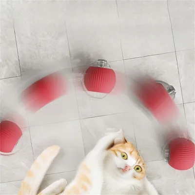 IntiMeg  Balle interactive pour chat rechargeable par USB