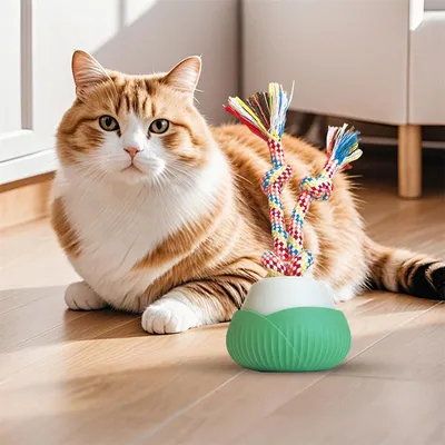 IntiMeg  Balles amusantes à rotation automatique pour chat
