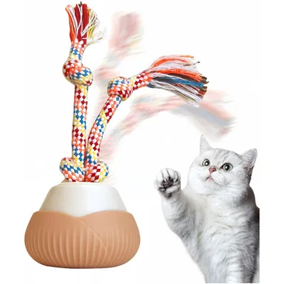 IntiMeg Balles amusantes à rotation automatique pour chat IntiMeg Balles amusantes à rotation automatique pour chat