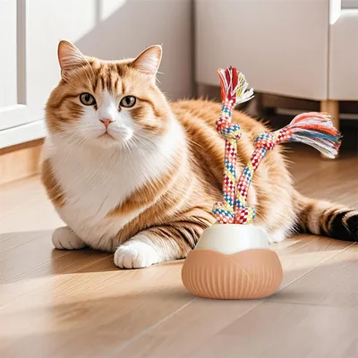 IntiMeg  Balles amusantes à rotation automatique pour chat