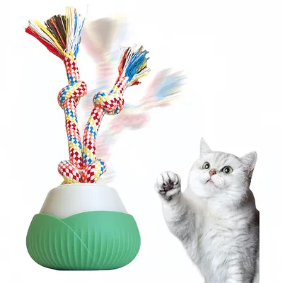 IntiMeg  Balles amusantes à rotation automatique pour chat