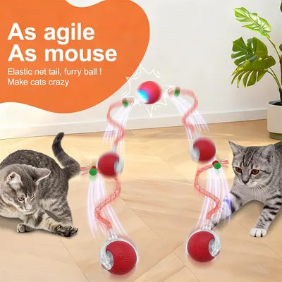 IntiMeg  Balle interactive pour chat rechargeable par USB