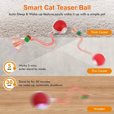 IntiMeg  Balle interactive pour chat rechargeable par USB