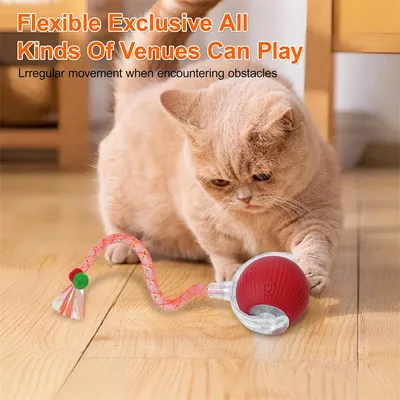 IntiMeg  Balle interactive pour chat rechargeable par USB