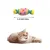 IntiMeg Jouet pour chat - Bonbons en laine multicolores (Lot de 10)