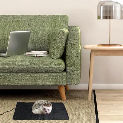 IntiMeg Tapis chauffant USB pour animaux et reptiles