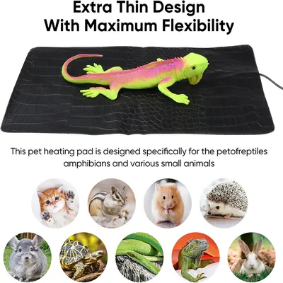 IntiMeg Tapis chauffant USB pour animaux et reptiles