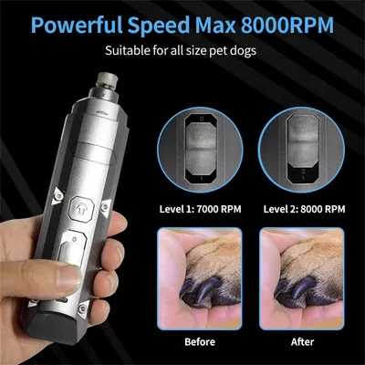 IntiMeg Tondeuse Électrique pour Chiens et Chats