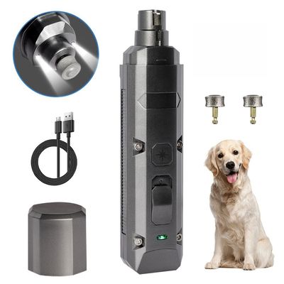 IntiMeg Tondeuse Électrique pour Chiens et Chats