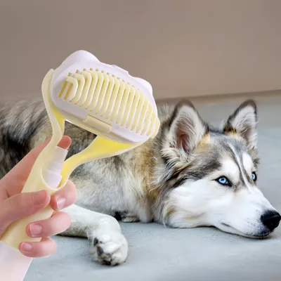 FurryFusion Peigne de toilettage pour animaux,Peigne à spray
