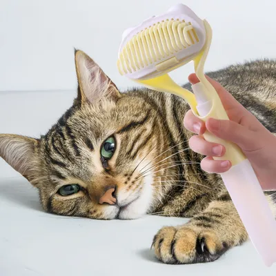 FurryFusion Peigne de toilettage pour animaux,Peigne à spray