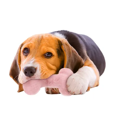 FurryFusion Jouet en os en peluche pour chien,3 jouets pour chiens