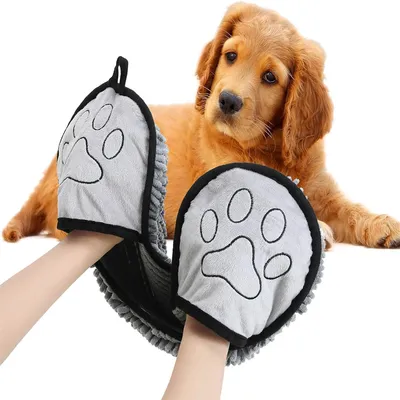 IntiMeg Serviette absorbante pour chien