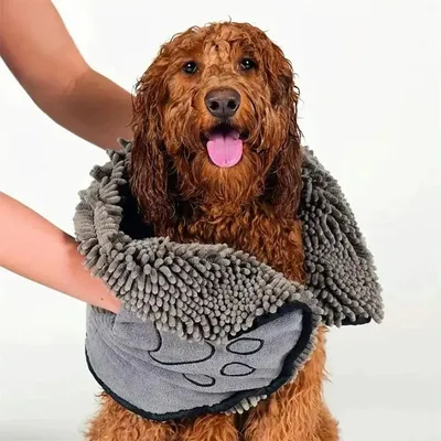 IntiMeg Serviette absorbante pour chien