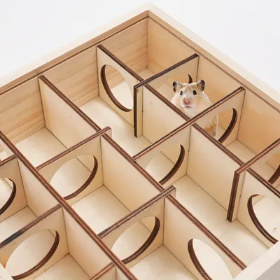 Labyrinthe en bois pour hamster