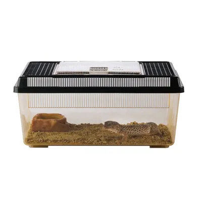 Exo Terra - Faunarium plat pour Reptiles