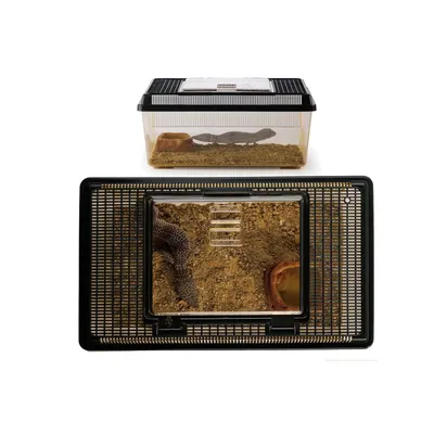 Exo Terra - Faunarium plat pour Reptiles