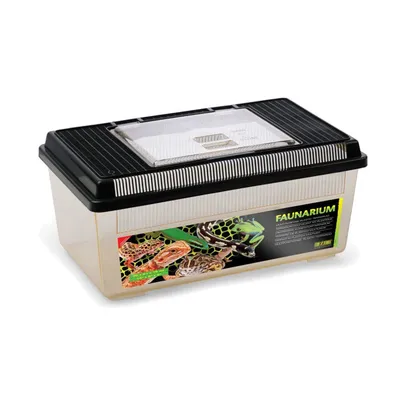 Exo Terra - Faunarium plat pour Reptiles Exo Terra - Faunarium plat pour Reptiles