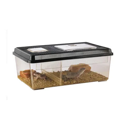 Exo Terra - Faunarium plat pour Reptiles