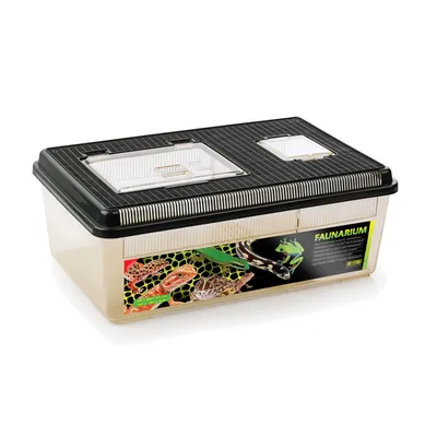 Exo Terra - Faunarium plat pour Reptiles