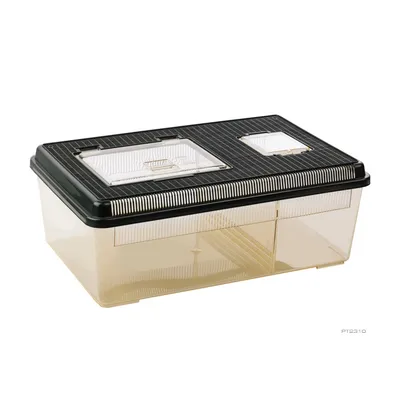 Exo Terra - Faunarium plat pour Reptiles