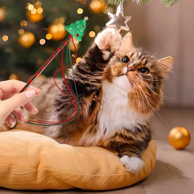 KPYTE Jouet en peluche pour chat de Noël