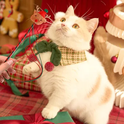 KPYTE Jouet en peluche pour chat de Noël