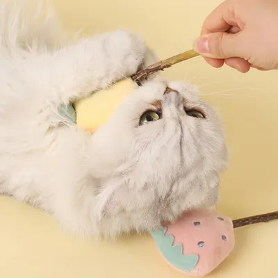 FurryFusion lot de 5 Bâtonnets à mâcher pour chats, en forme de fruits