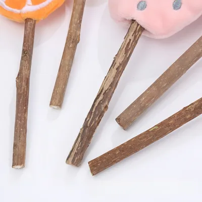 FurryFusion lot de 5 Bâtonnets à mâcher pour chats, en forme de fruits