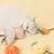 FurryFusion lot de 5 Bâtonnets à mâcher pour chats, en forme de fruits