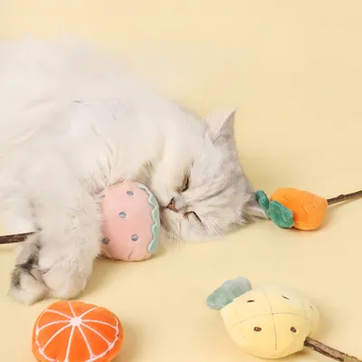 FurryFusion lot de 5 Bâtonnets à mâcher pour chats, en forme de fruits