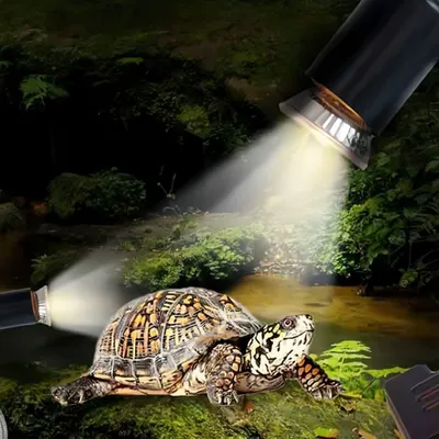 FurryFusion lampe chauffante pour animaux,Comprend deux ampoules de 25 W