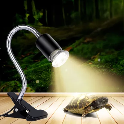 FurryFusion lampe chauffante pour animaux,Comprend deux ampoules de 25 W