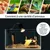 FurryFusion lampe chauffante pour animaux,Comprend deux ampoules de 25 W