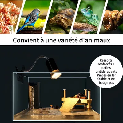 FurryFusion lampe chauffante pour animaux,Comprend deux ampoules de 25 W