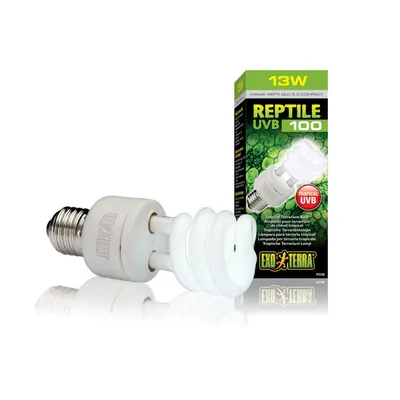 Exo Terra - Repti Glo 5.0 UVB100 Tropical - Eclairage pour Lézards Tortues