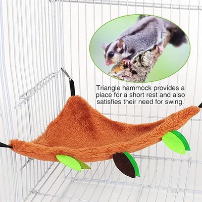 IntiMeg Accessoires pour cage à rongeurs, ensemble de cinq pièces