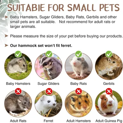 IntiMeg Accessoires pour cage à rongeurs, ensemble de cinq pièces