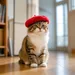 IntiMeg Chapeau Béret pour Chien et Chat