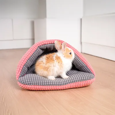 Cachette pour lapins, terrier