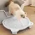 FurryFusion Tapis de litière pour chat surélevé à double couche