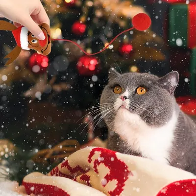 KPYTE Peluche chat de Noël