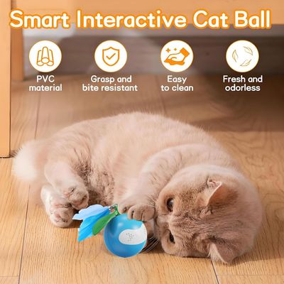 KPYTE Balle interactive pour chat