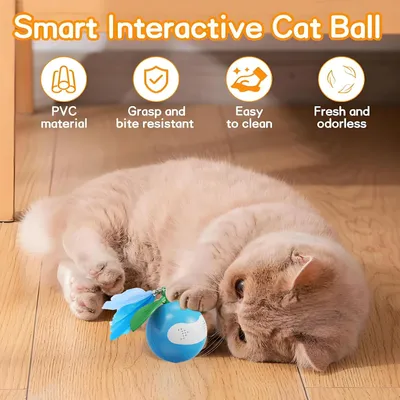 KPYTE Balle interactive pour chat