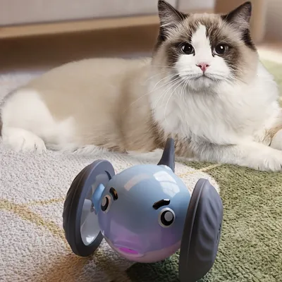Jouet interactif électrique pour chat, Voiture jouet poisson-globe