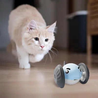 Jouet interactif électrique pour chat, Voiture jouet poisson-globe