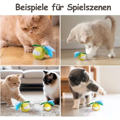 KPYTE Balle interactive pour chat