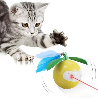 KPYTE Balle interactive pour chat