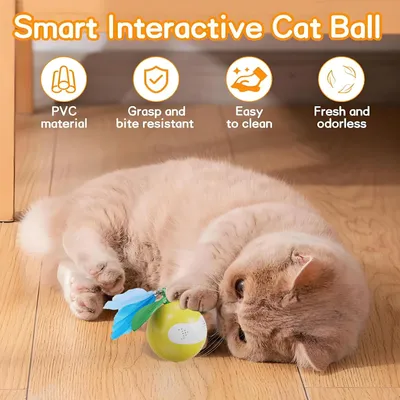 KPYTE Balle interactive pour chat