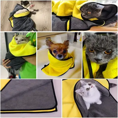 IntiMeg Serviette absorbante pour chats et chiens